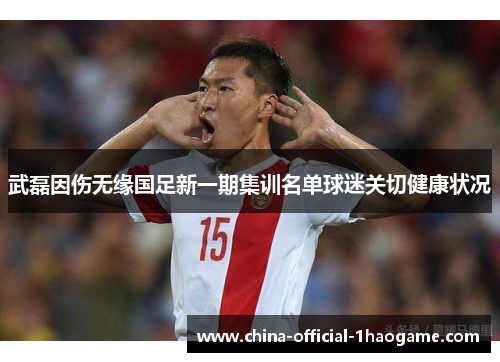 武磊因伤无缘国足新一期集训名单球迷关切健康状况